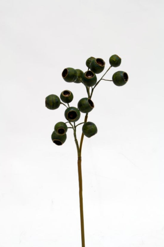 Artificial Plant Eucalyptus Seed Pod