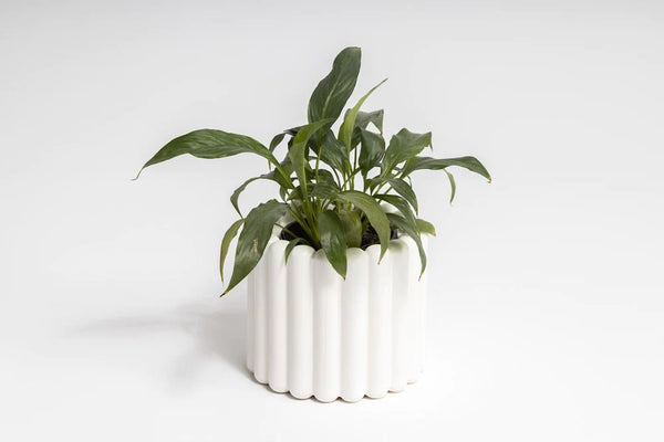White Alto Vase