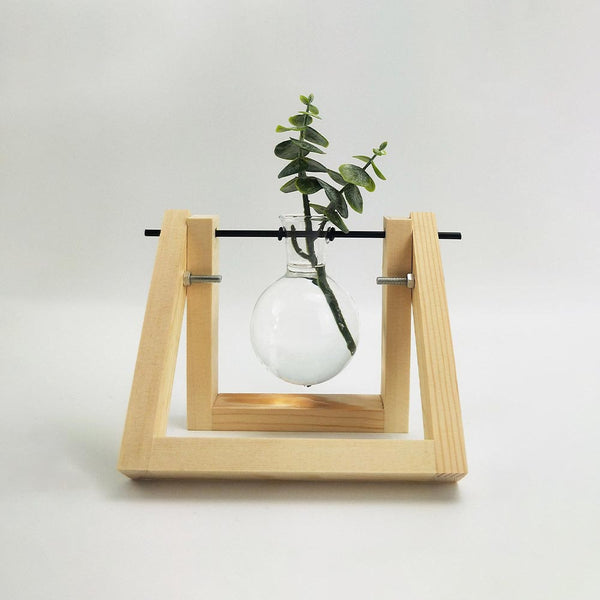 Single Propagation Natural Wood & Glass