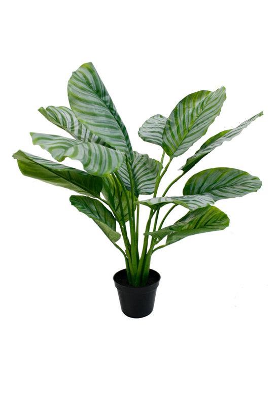 Artificial Plant Potted Calathea