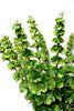 Artificial Plant Bells Of Ireland Green