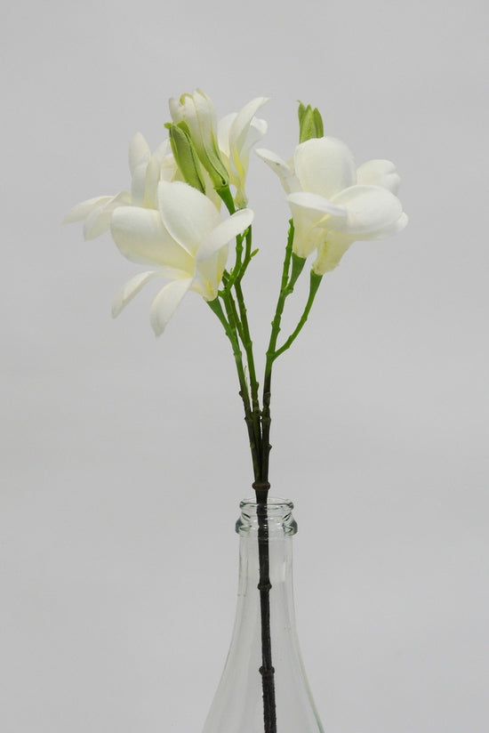 Artificial Plant Frangipani White