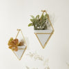 Wall Display Trigg Small White/Brass Set of 2