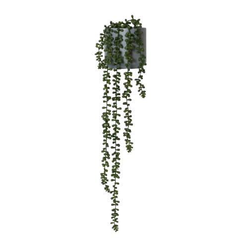 String Of Pearls Large Faux Plant